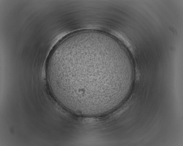 X0000116570883200912241632