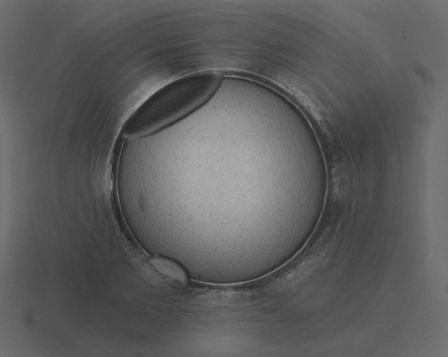 X0000116570885200912241632