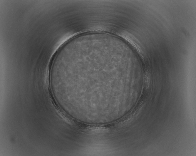 X0000116570886200912241632