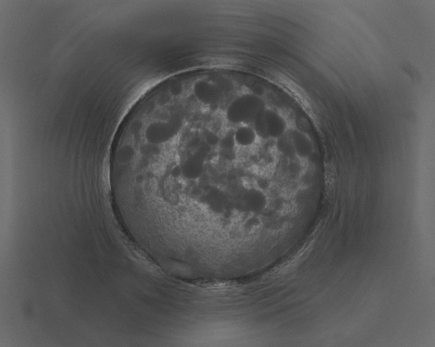 X0000116570891200912241632