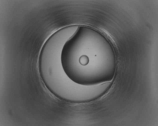 X0000116570892200912241632