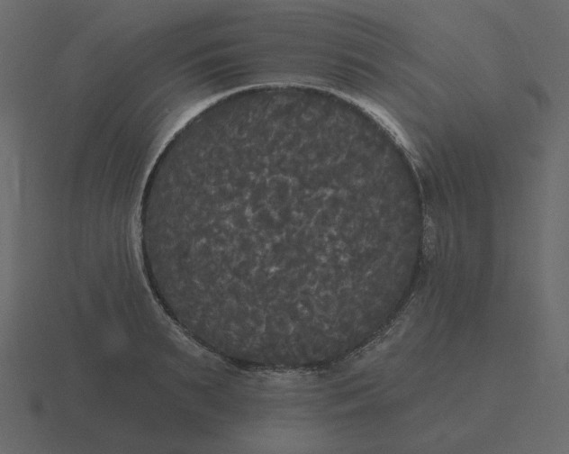 X0000116570895200912241632