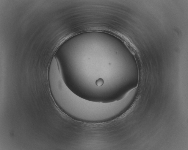 X0000116570897200912241632