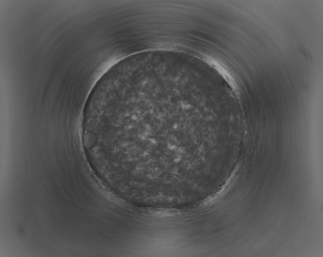 X0000116570899200912241632