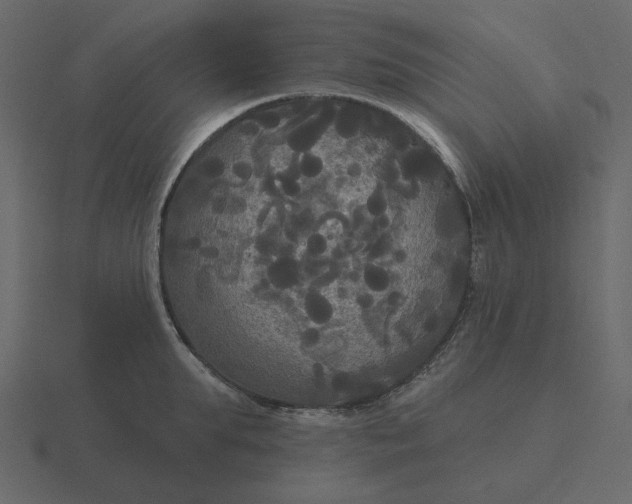 X0000116570903200912241632