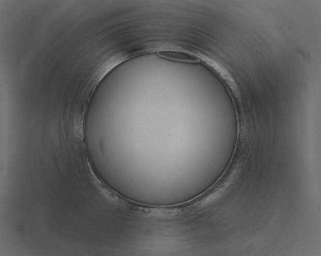 X0000116570905200912241632