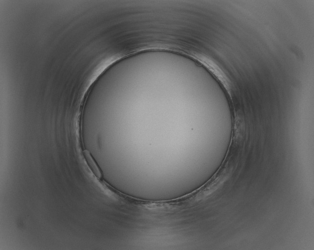 X0000116570906200912241632