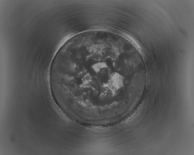 X0000116570907200912241632