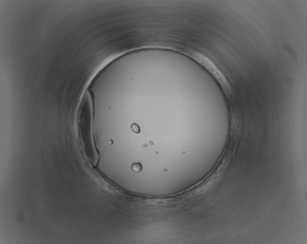 X0000116570908200912241632