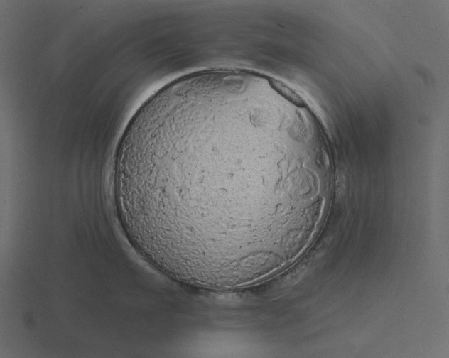 X0000116570911200912241632