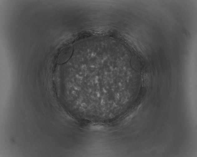 X0000116570913200912241631