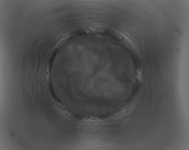 X0000116570915200912241631