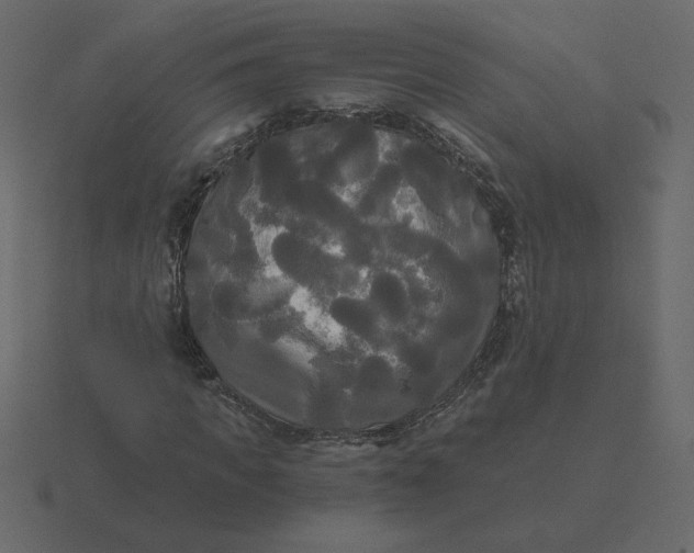 X0000116570917200912241631