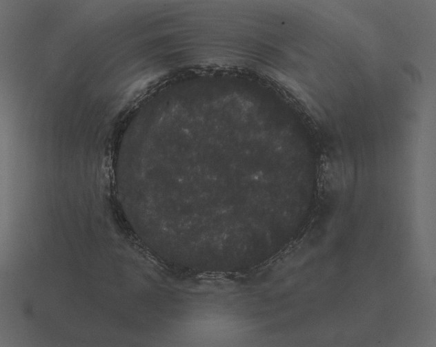 X0000116570918200912241631