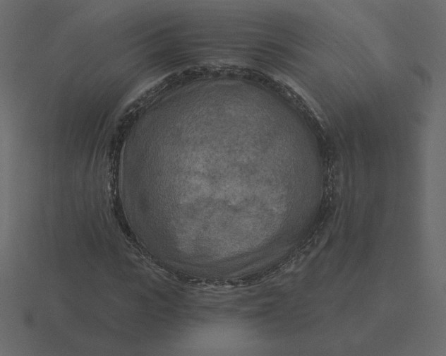 X0000116570919200912241631