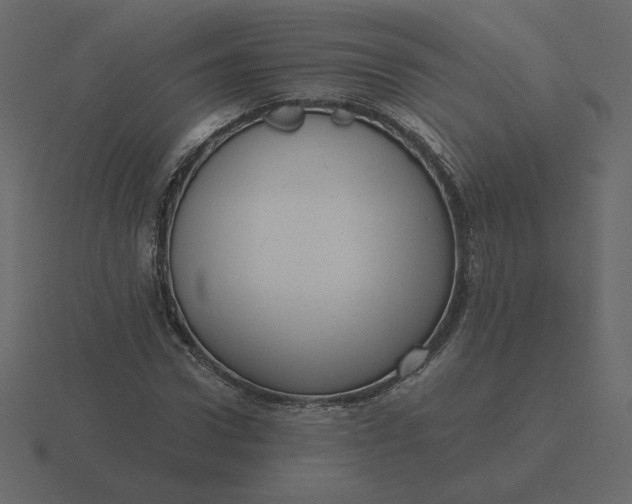 X0000116570922200912241631