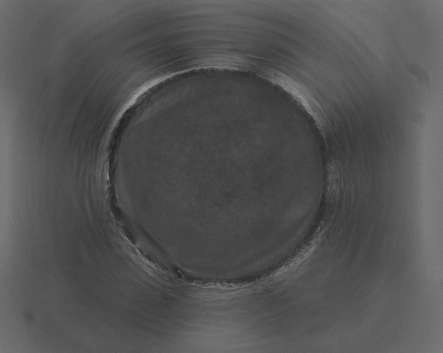 X0000116570923200912241631