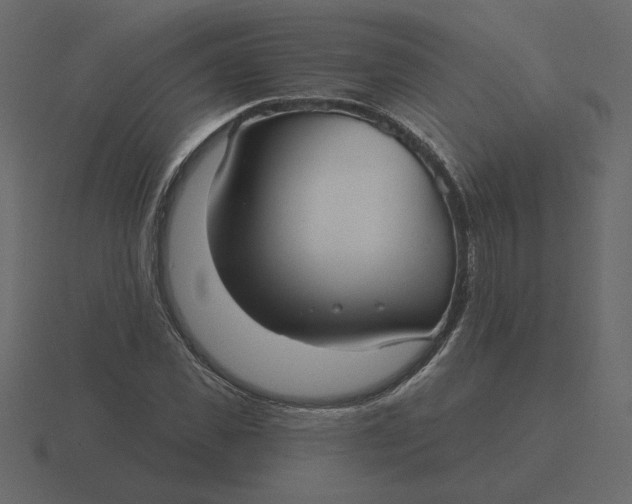 X0000116570925200912241631