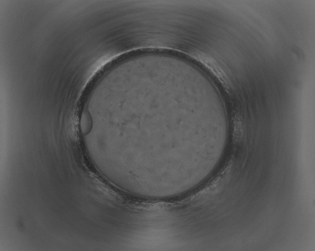 X0000116570926200912241631