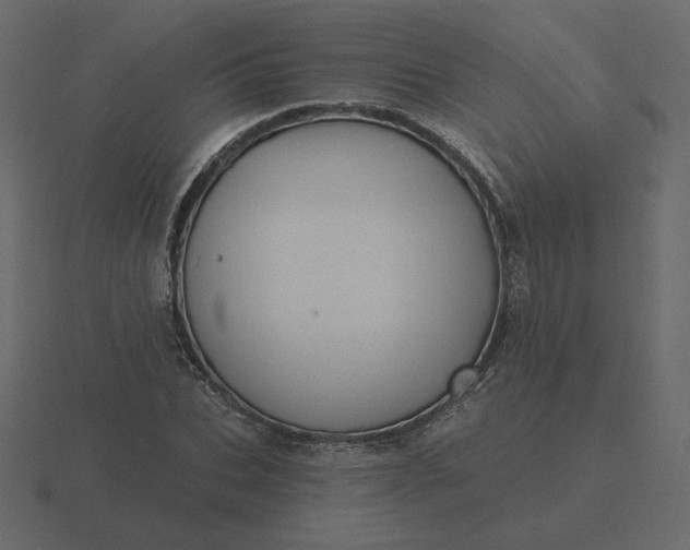 X0000116570927200912241632