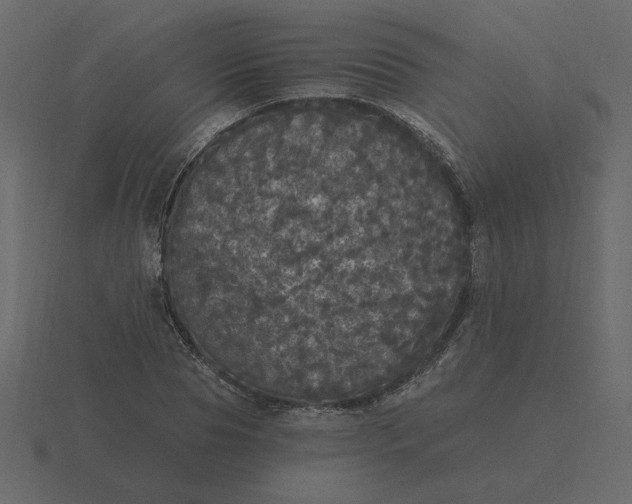 X0000116570929200912241632