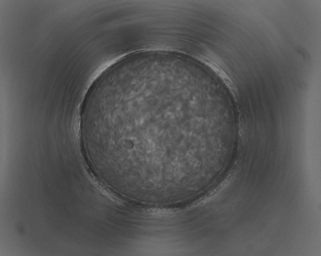 X0000116570933200912241632