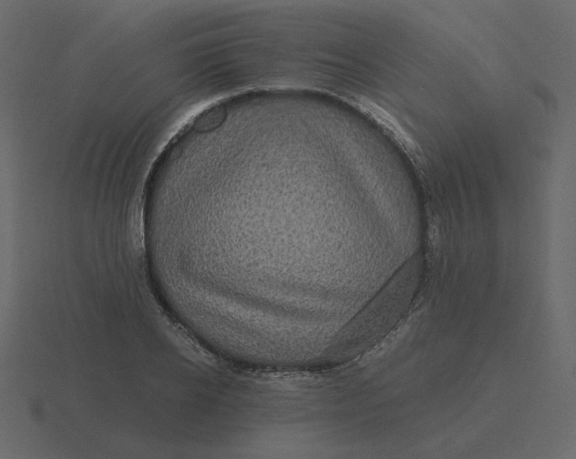 X0000116570934200912241632