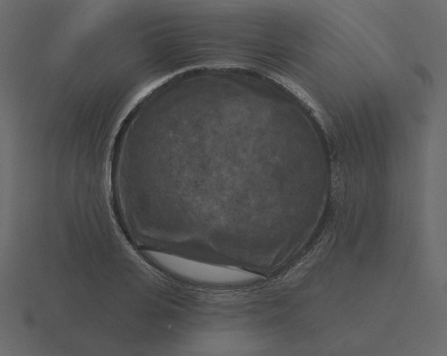 X0000116570935200912241632