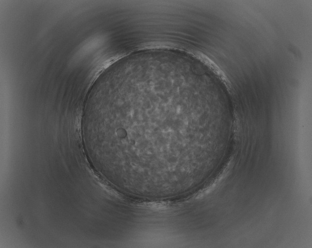 X0000116570937200912241632