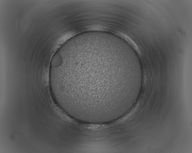 X0000116570938200912241632