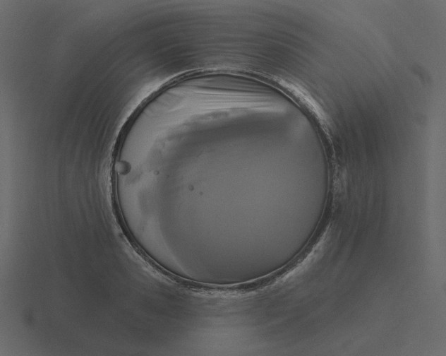 X0000116570941200912241632