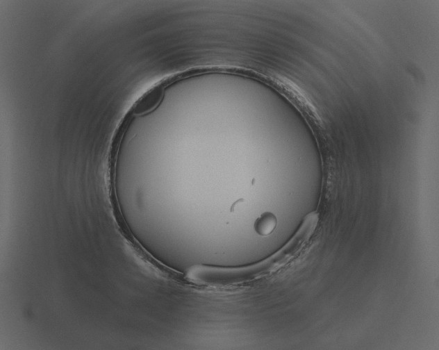 X0000116570942200912241632