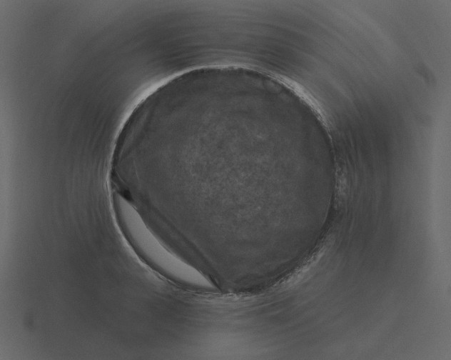 X0000116570943200912241632