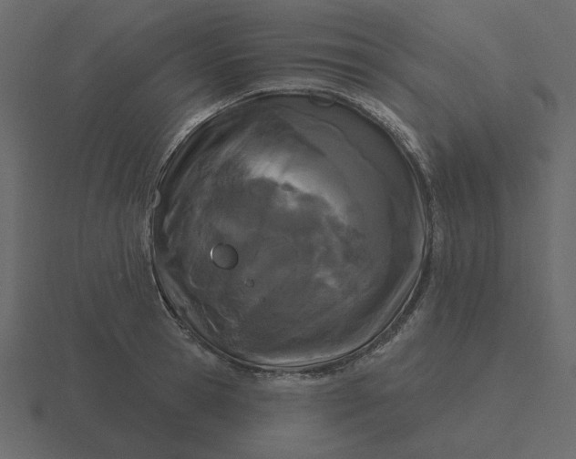 X0000116570945200912241632