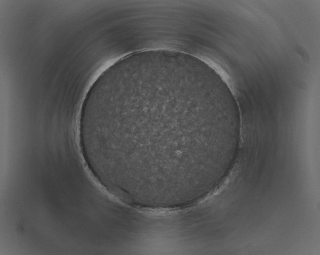 X0000116570949200912241632