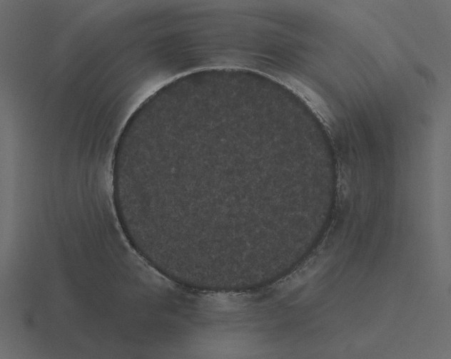 X0000116570950200912241632