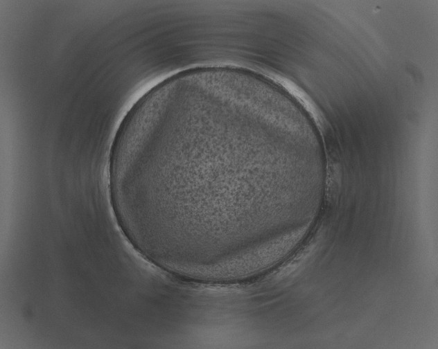 X0000116570951200912241632