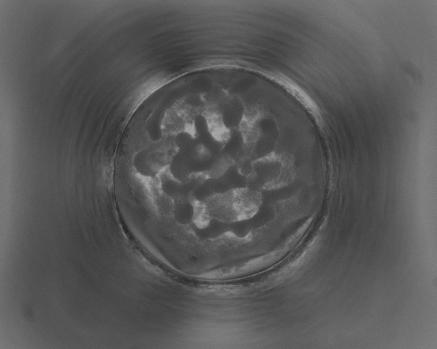 X0000116570953200912241632