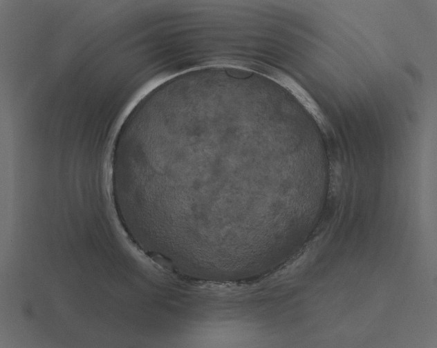 X0000116570955200912241632