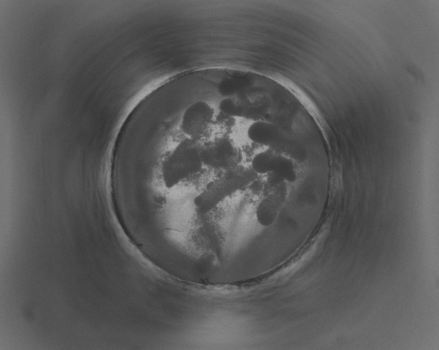 X0000116570957200912241632