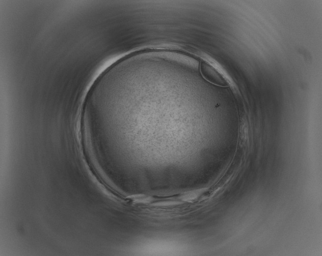 X0000116570959200912241632