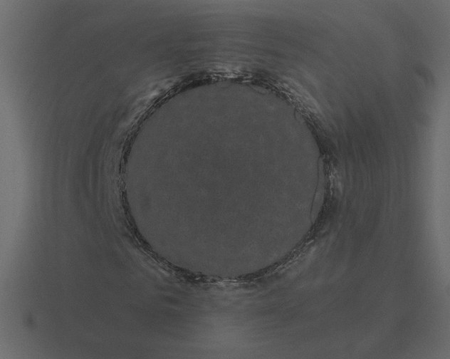 X0000116570961200912241631