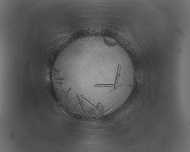 X0000116570962200912241631