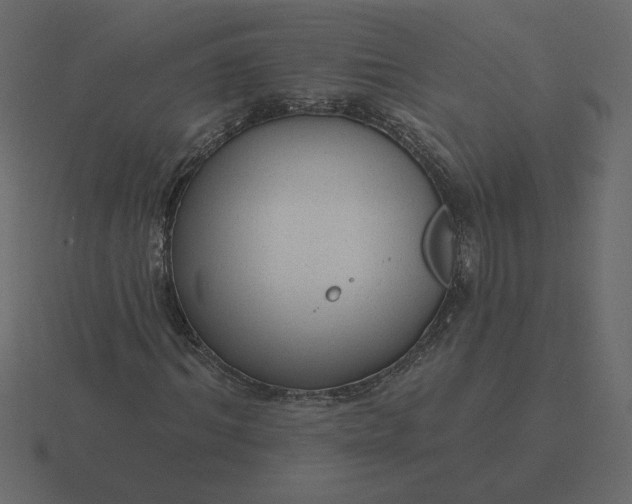 X0000116570964200912241631