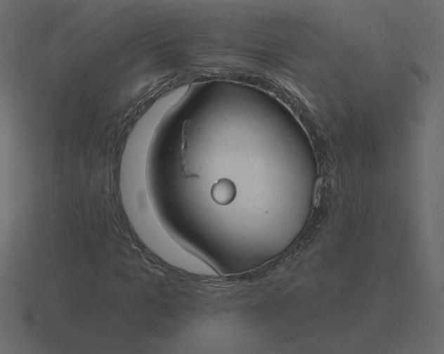 X0000116570965200912241631