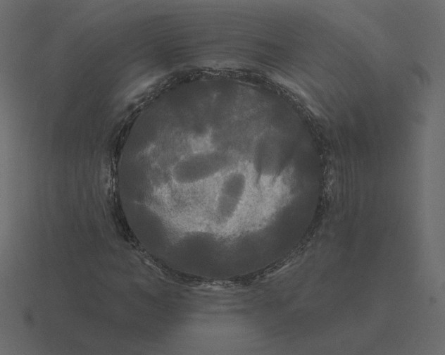 X0000116570966200912241631