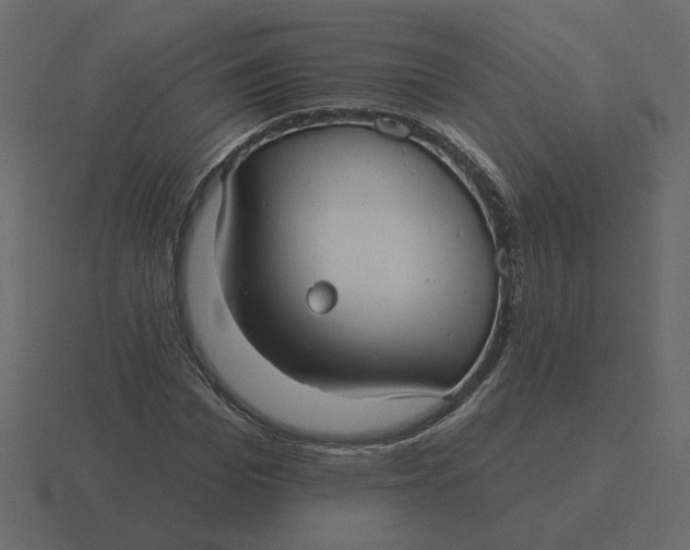 X0000116570969200912241631