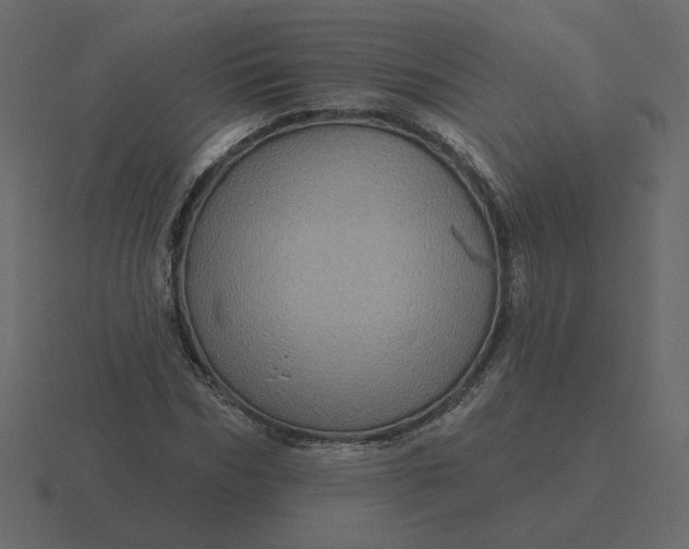 X0000116570970200912241631