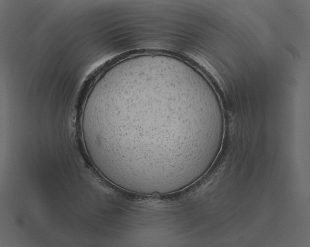 X0000116570971200912241631