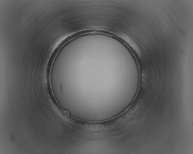 X0000116570972200912241631